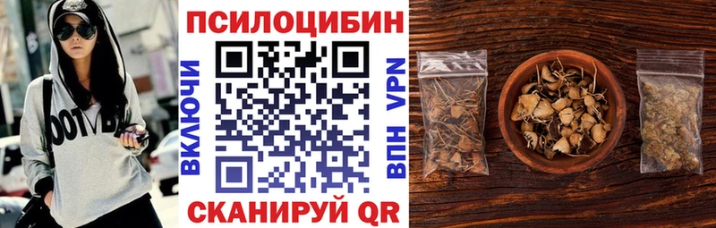 купить закладку  Куровское  Галлюциногенные грибы Cubensis 